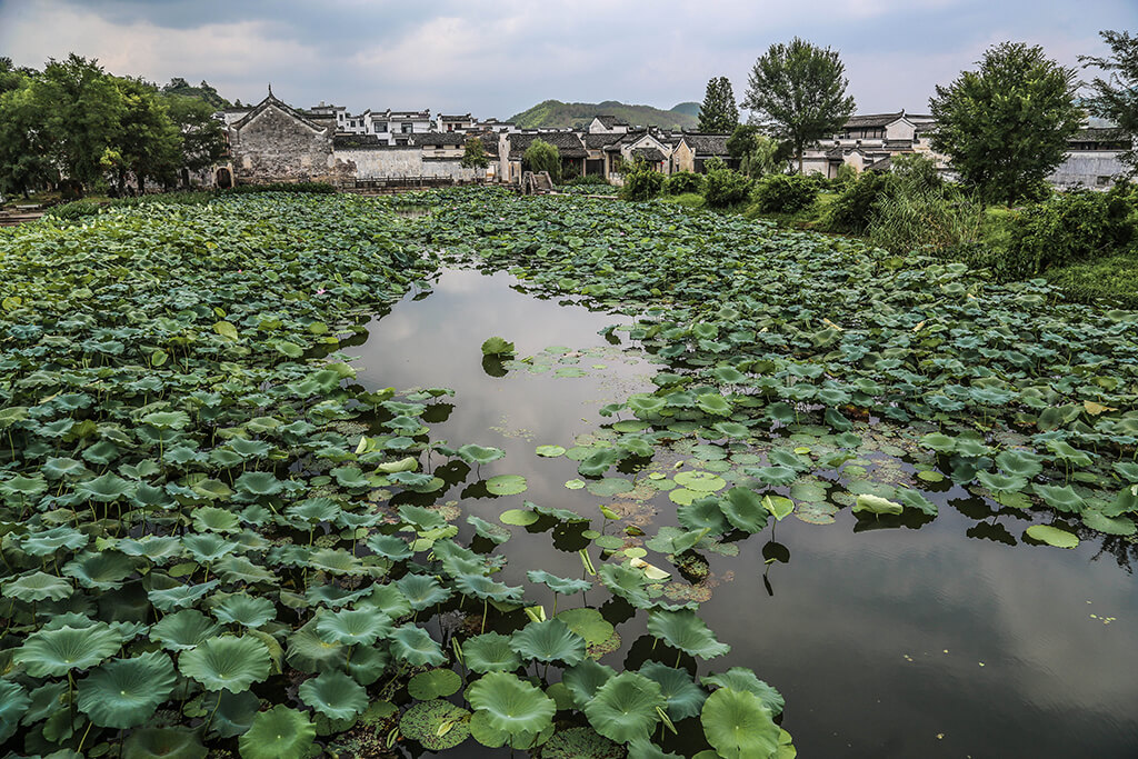 Chengkan bagua village Anhui China_Architecture on the Road