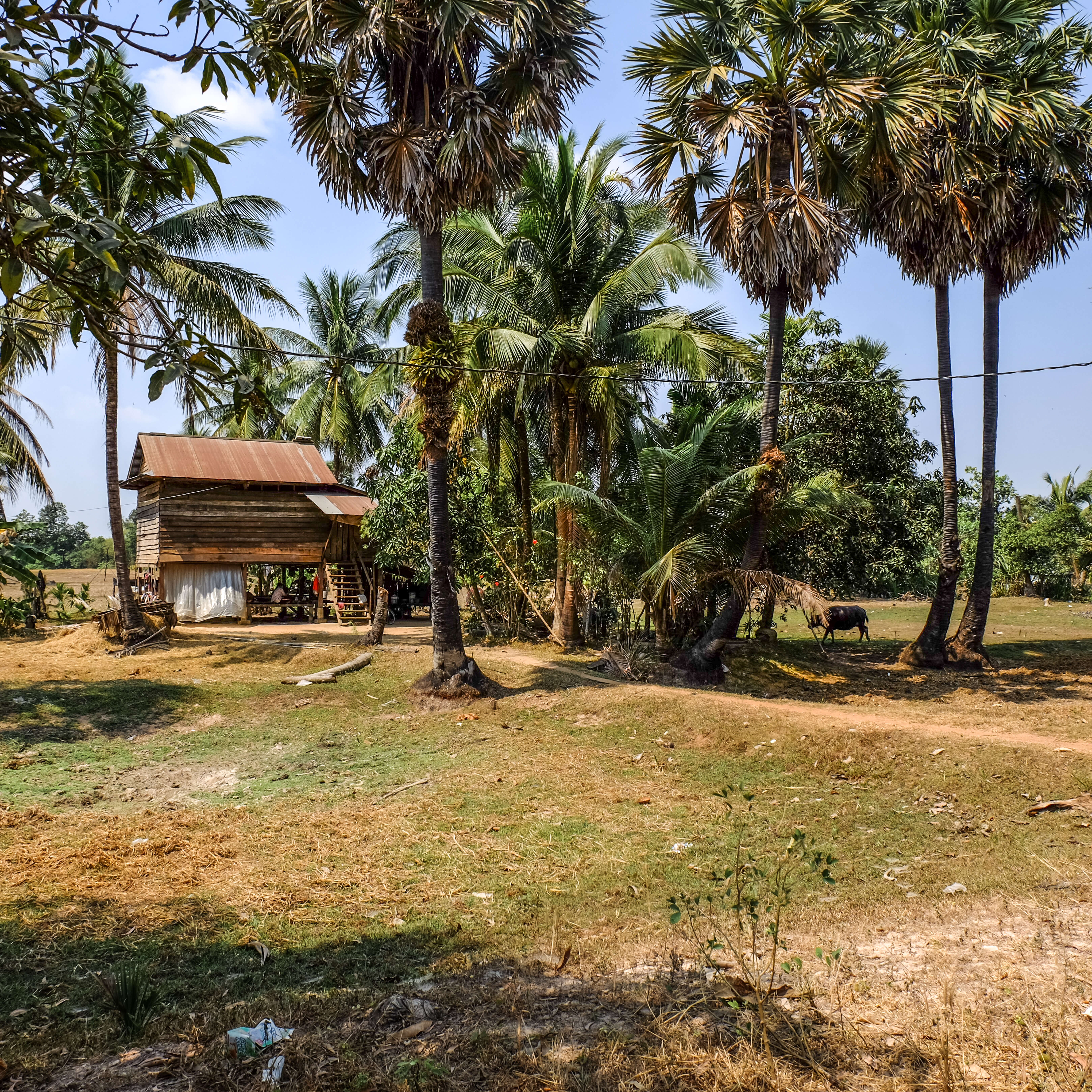 siem reap_angkor wat_architecture on the road_ Cambodian countryside homes (5)