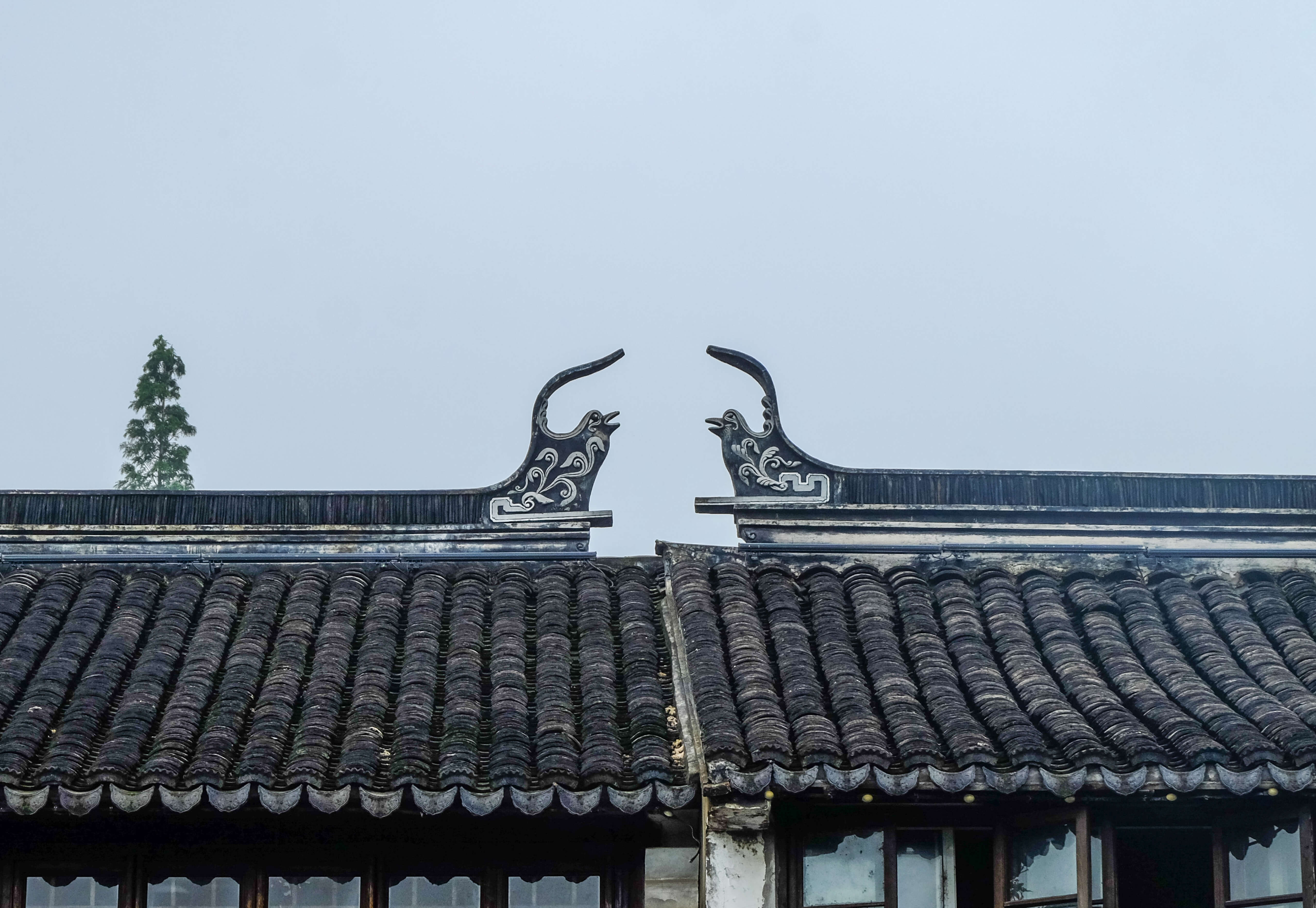 Suzhou (14 of 35).1