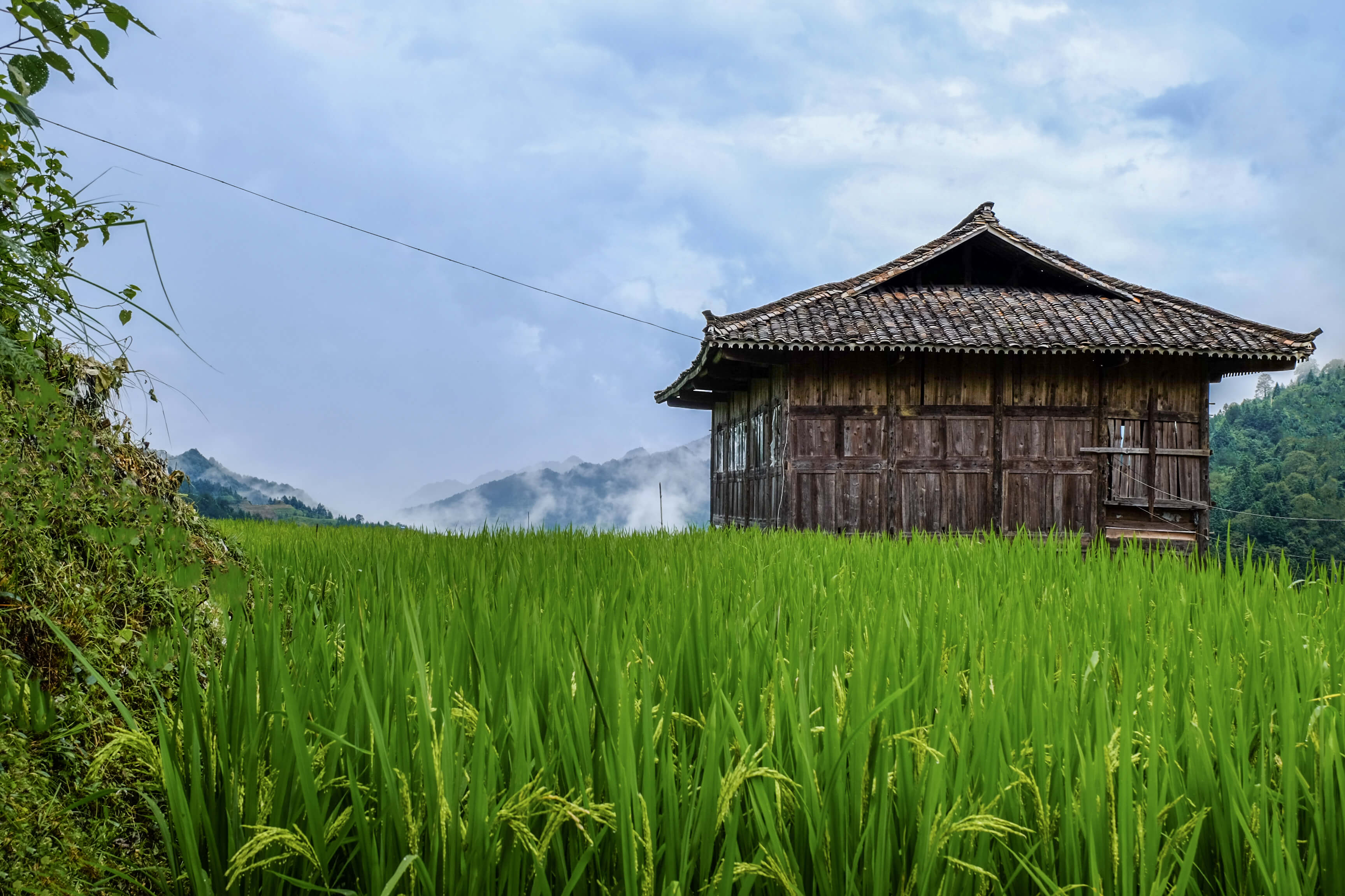 Xijiang_Guizhou_ Miao Ethnic Minority_Architecture on the road_Queniao village