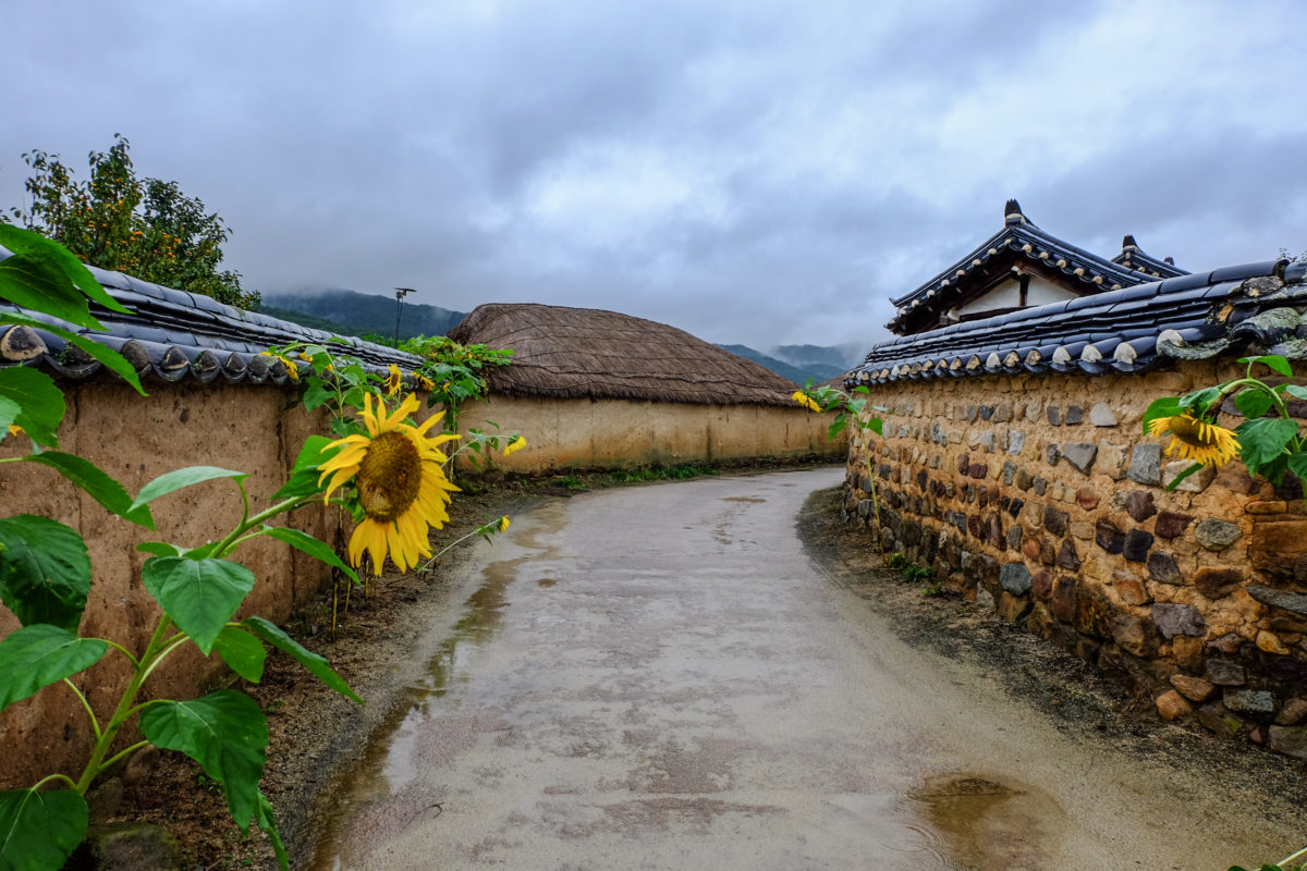 Exploring the traditional South Korean folk village of 