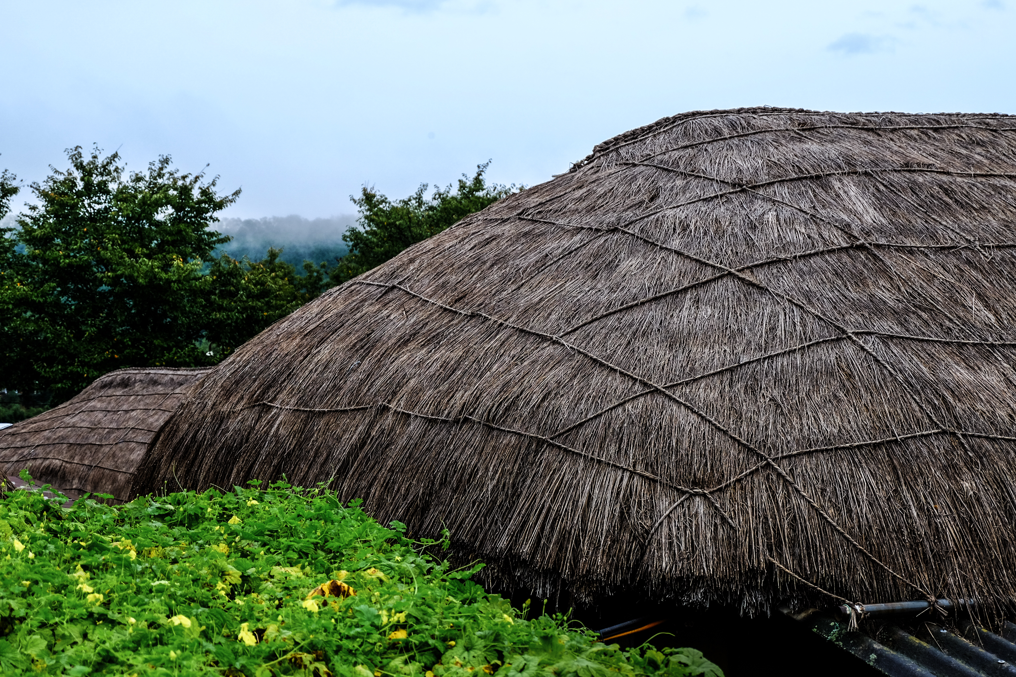 Andong Hahoe Folk village_South Korea_Architecture on the road