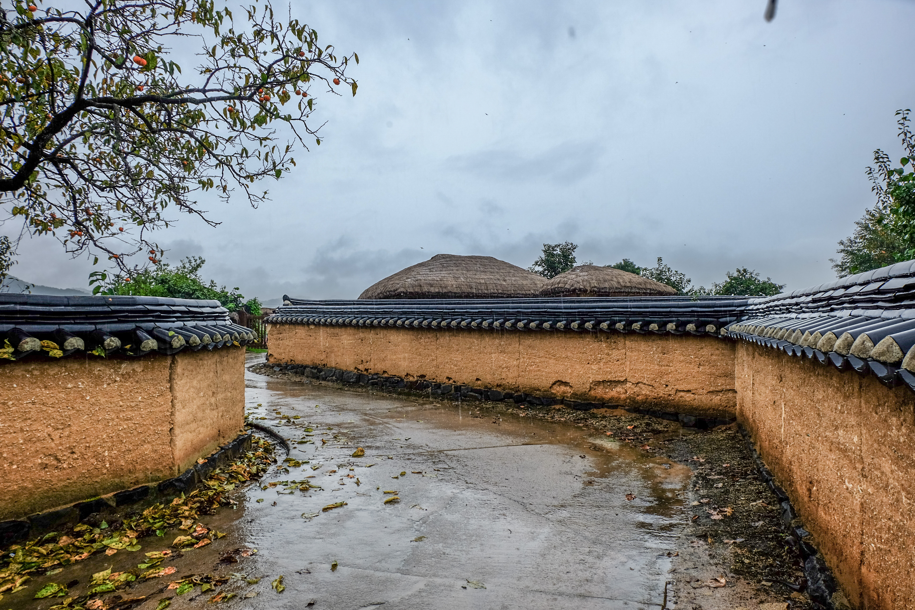 Andong Hahoe Folk village_South Korea_Architecture on the road