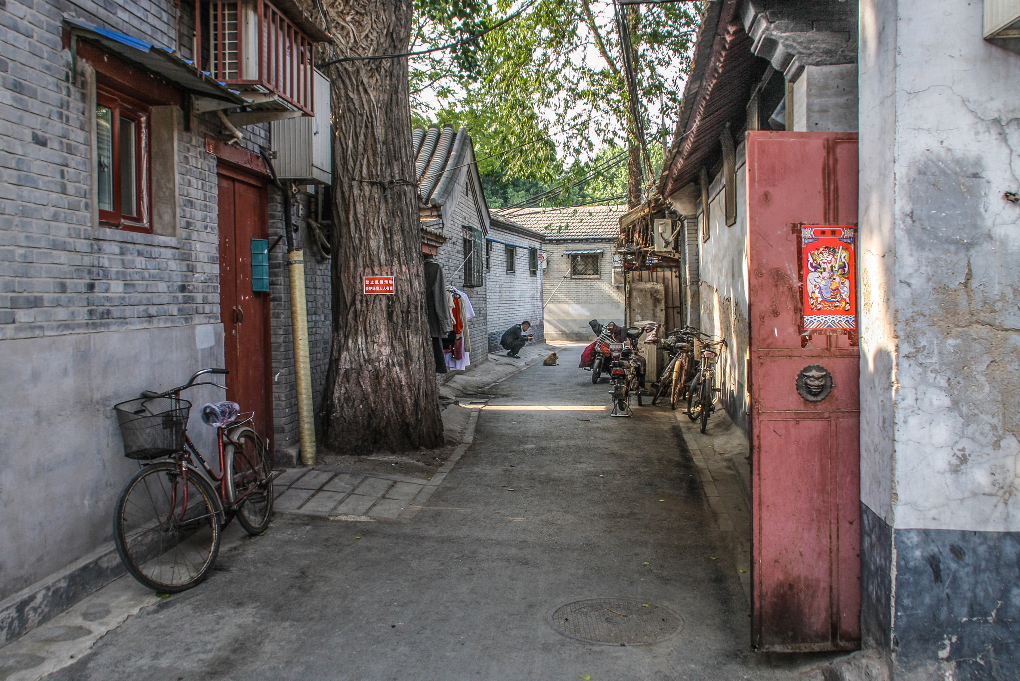 House Tour: A Small Shared Beijing Hutong Home