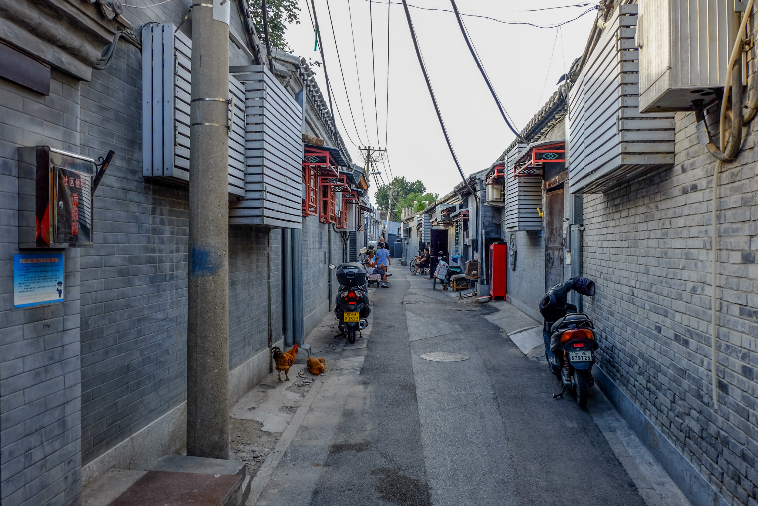 Exploring the hutong of old Beijing_Architecture on the road_ (88 of 21)